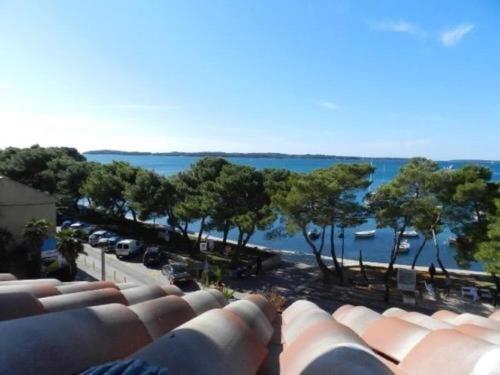 Apartment Radomir